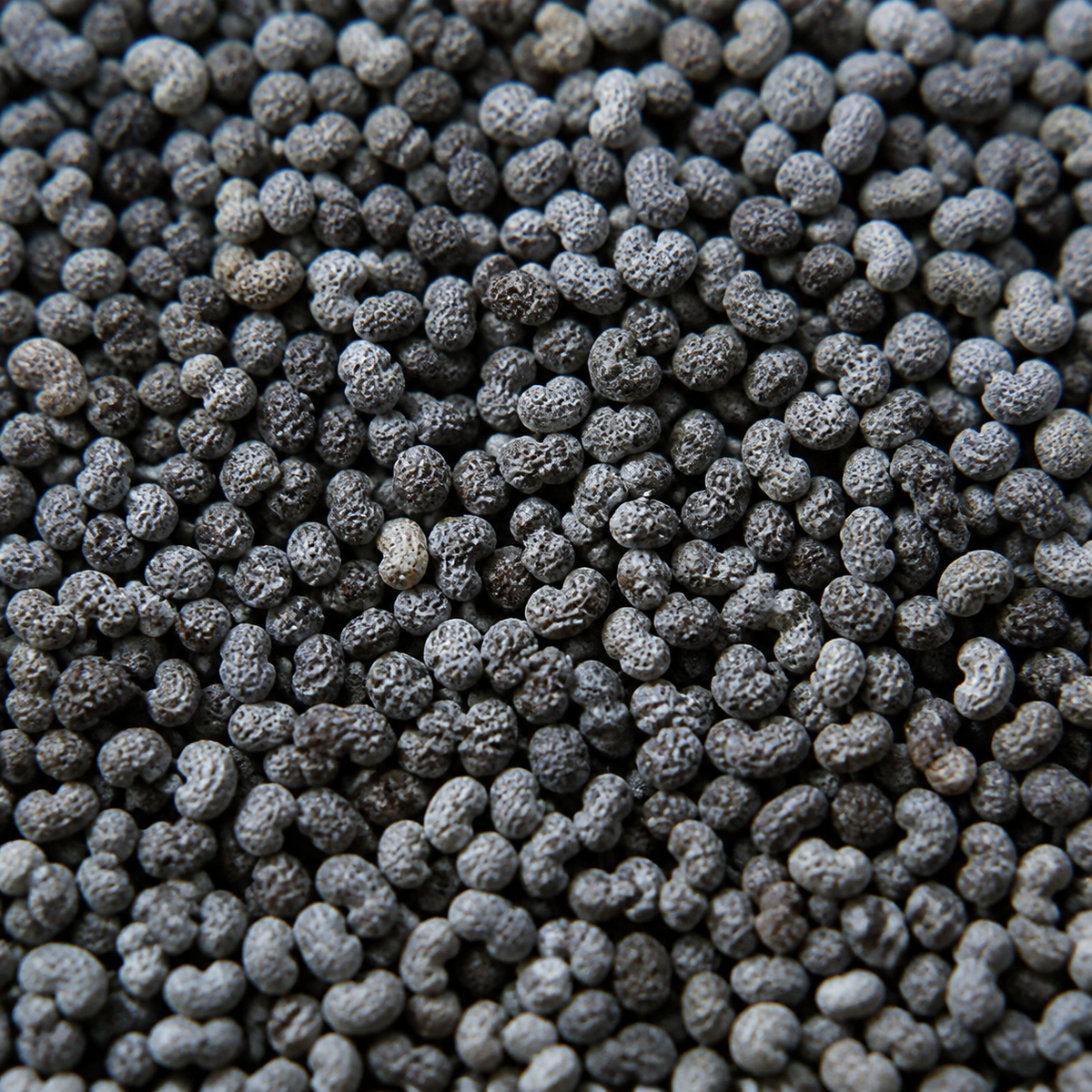Infinity Foods Bulk Organic Poppy Seeds