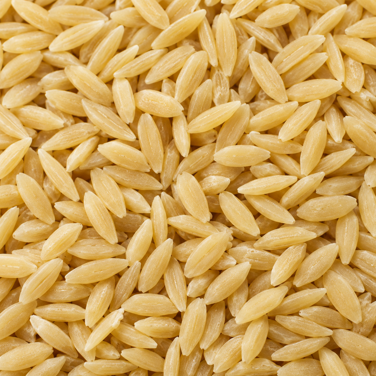 Infinity Foods Organic Orzo