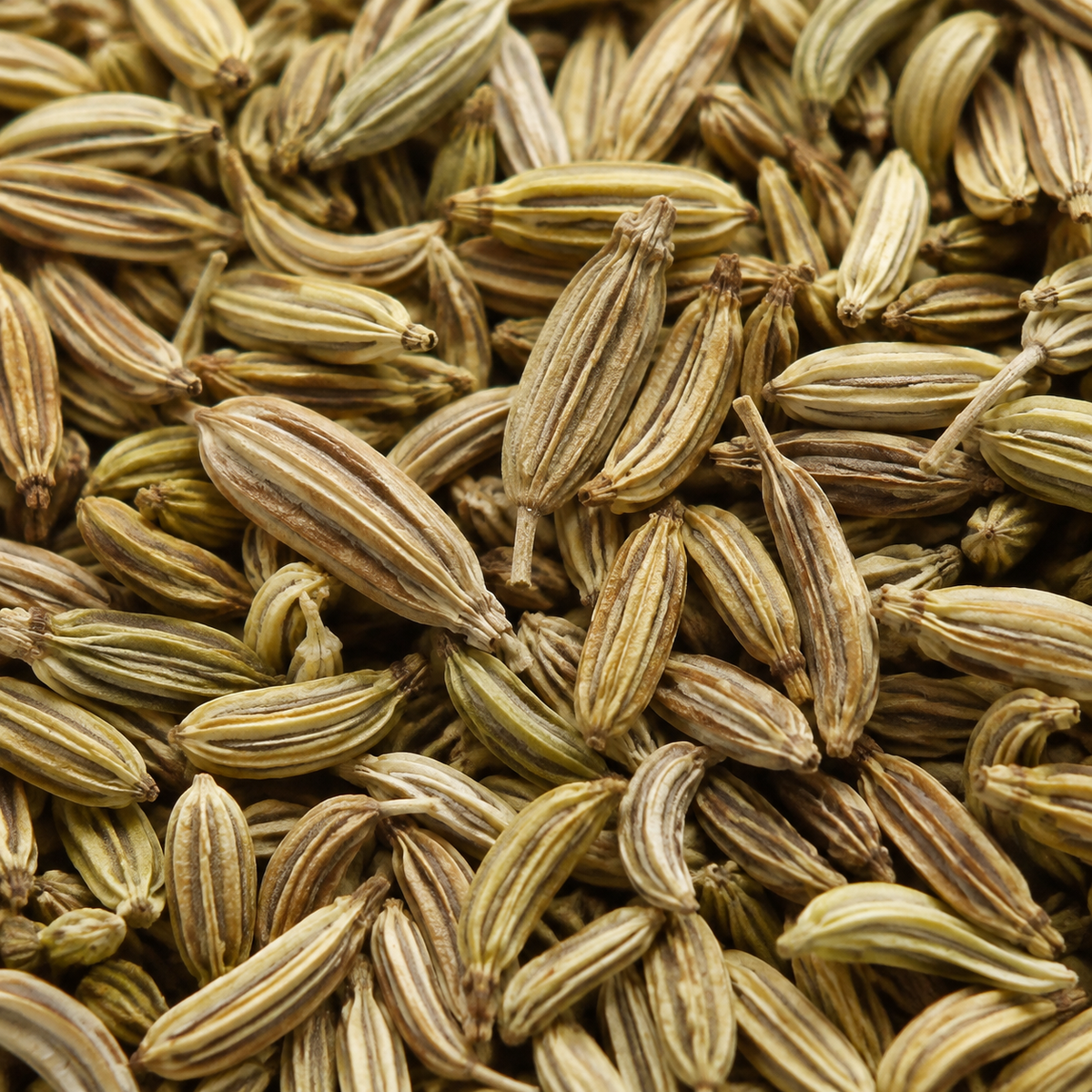 Infinity Foods Organic Fennel Seeds
