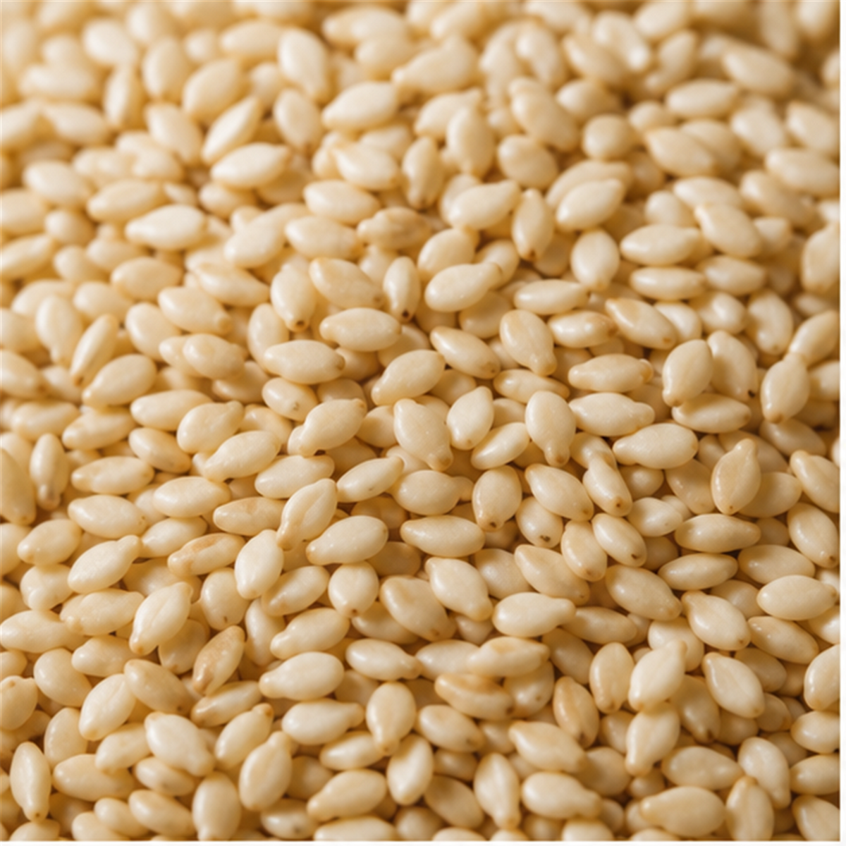 Infinity Foods Bulk Organic Hulled Sesame Seeds
