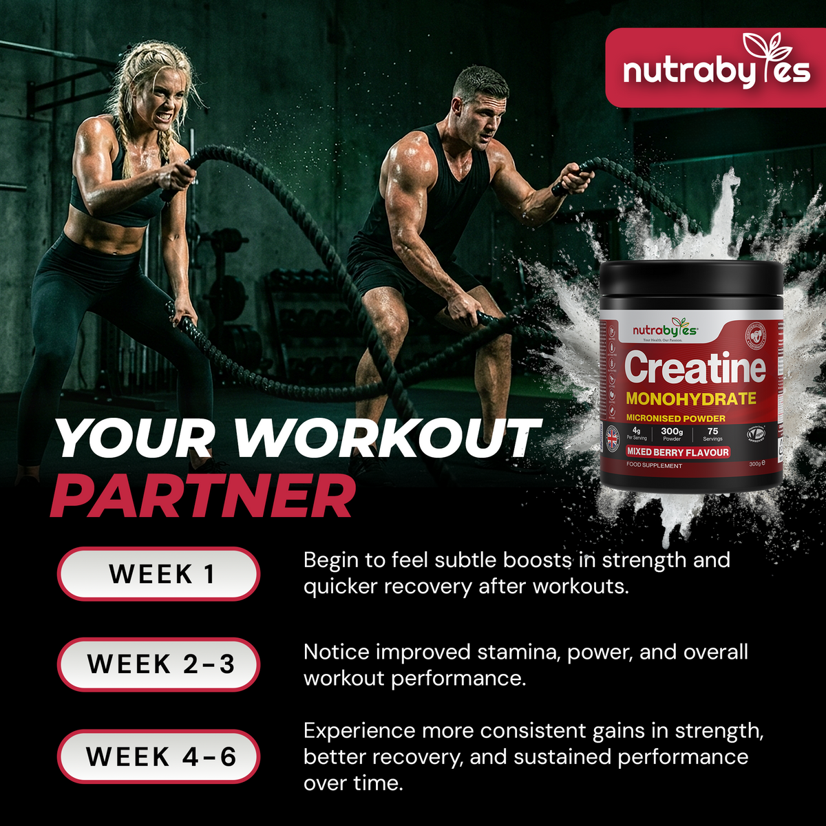 Creatine Monohydrate Powder | Micronised 200 Mesh | 300g | Mixed Berry Flavour | 4G Per Serving | Vegan Certified