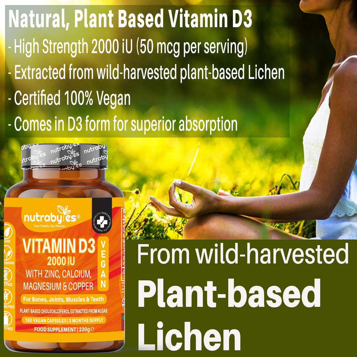 Vegan Vitamin D3 2000 IU Complex, 180 Capsules