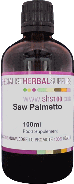 SHS Saw Palmetto Range