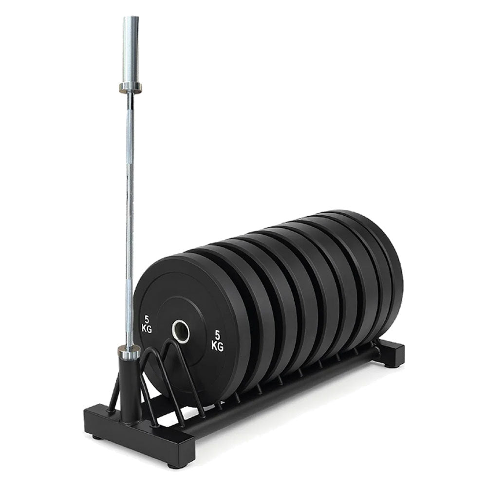 Standard Weight Plate Storage Rack