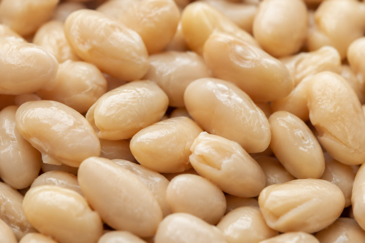 Biona Organic Cannellini Beans
