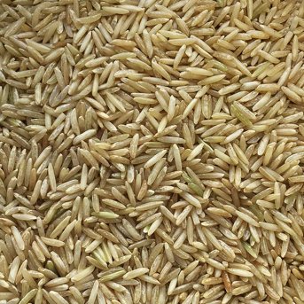 Organic Brown Rice