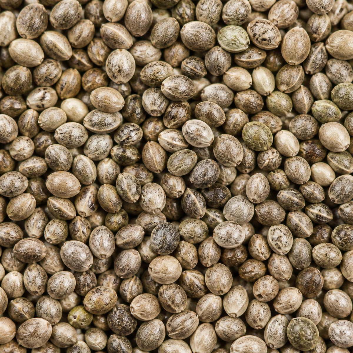 Infinity Foods Bulk Organic Hemp Seeds
