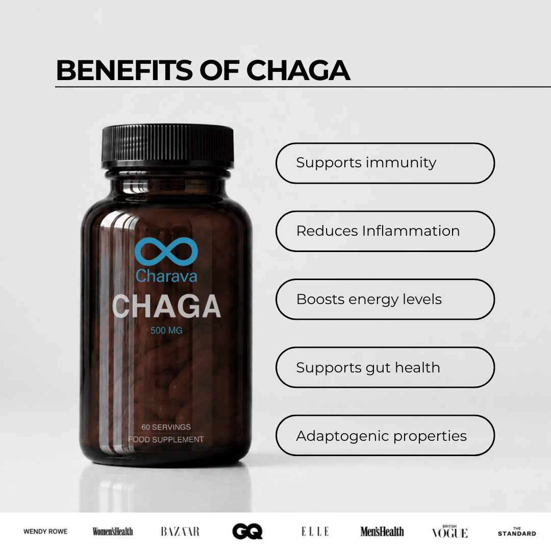 Chaga 500mg