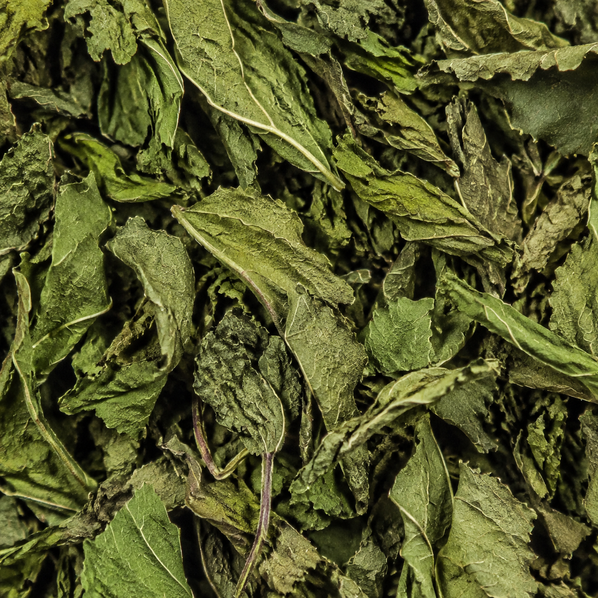 Clipper Organic Peppermint Infusion