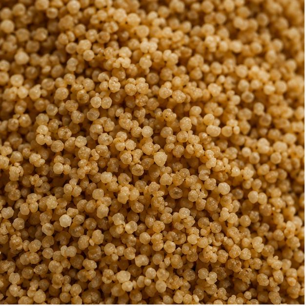 Organic Wholemeal Couscous