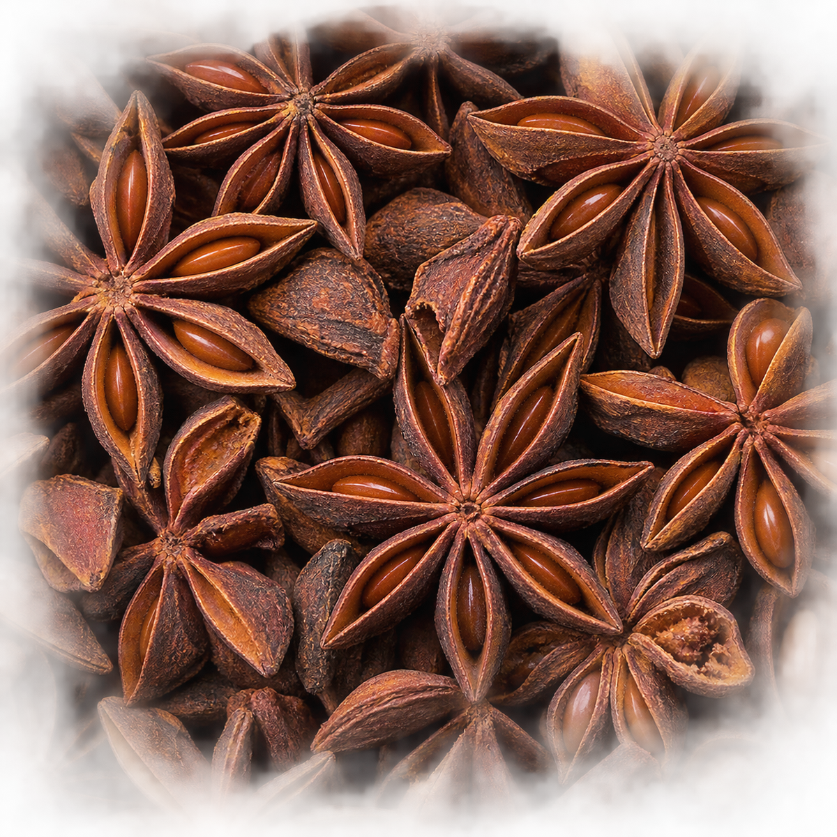 Hampshire Foods Badian (Star Anise)