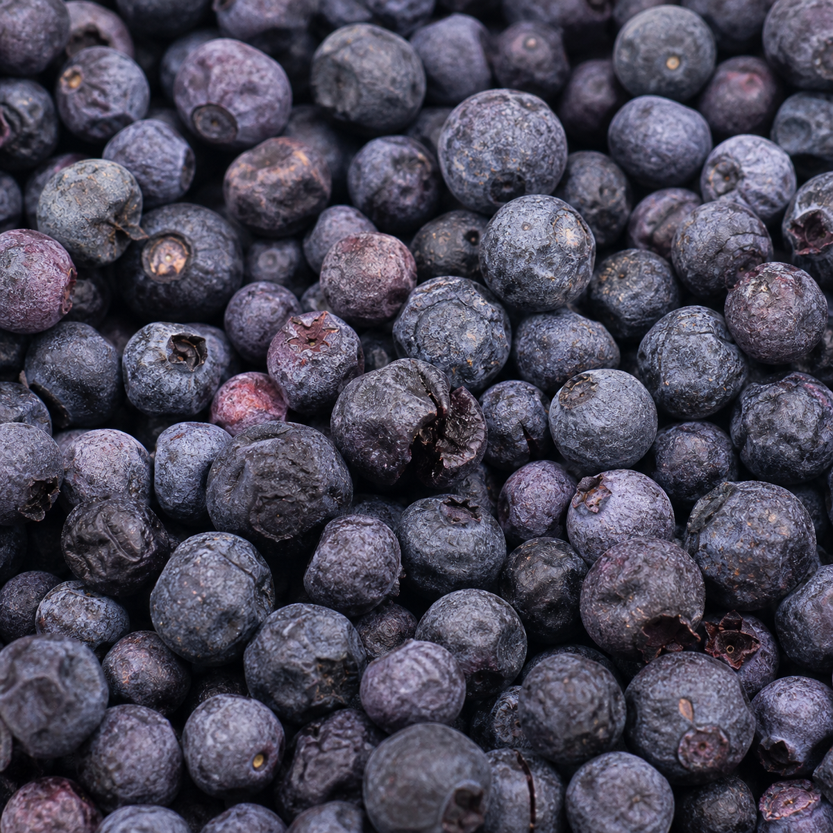 Freeze Dried Blueberries