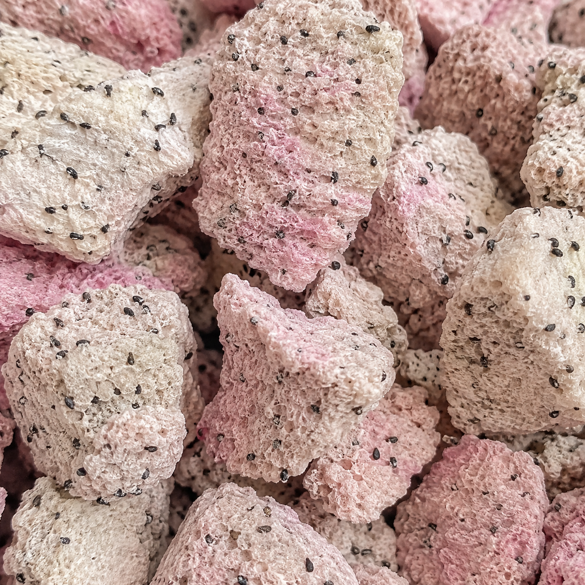 Freeze Dried Dragon Fruit Chunks