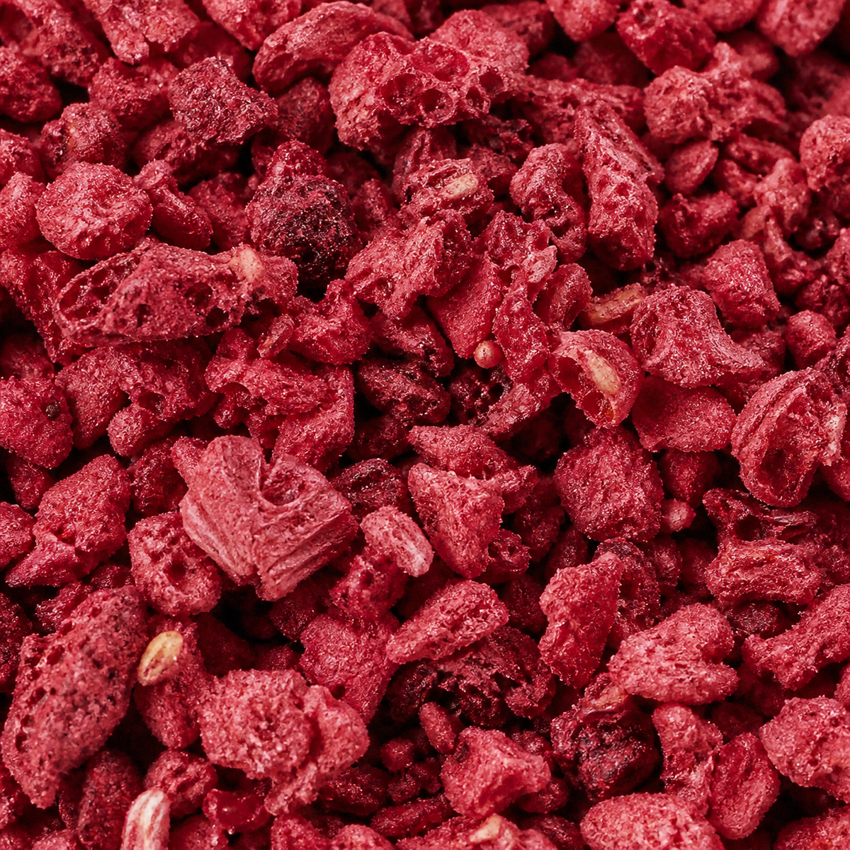 Freeze Dried Raspberry Nibs