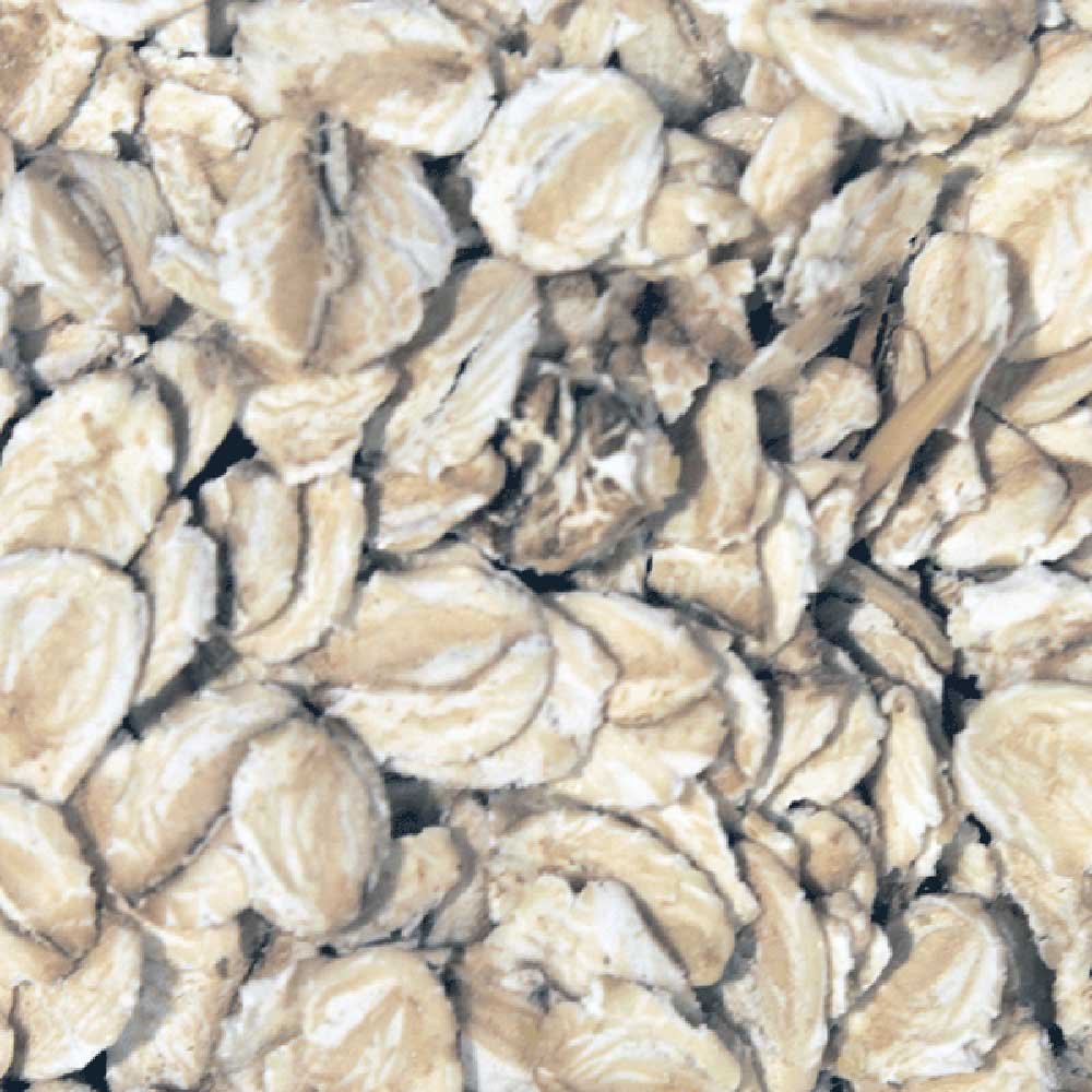 Infinity Foods Bulk Organic Gluten Free Jumbo Oats