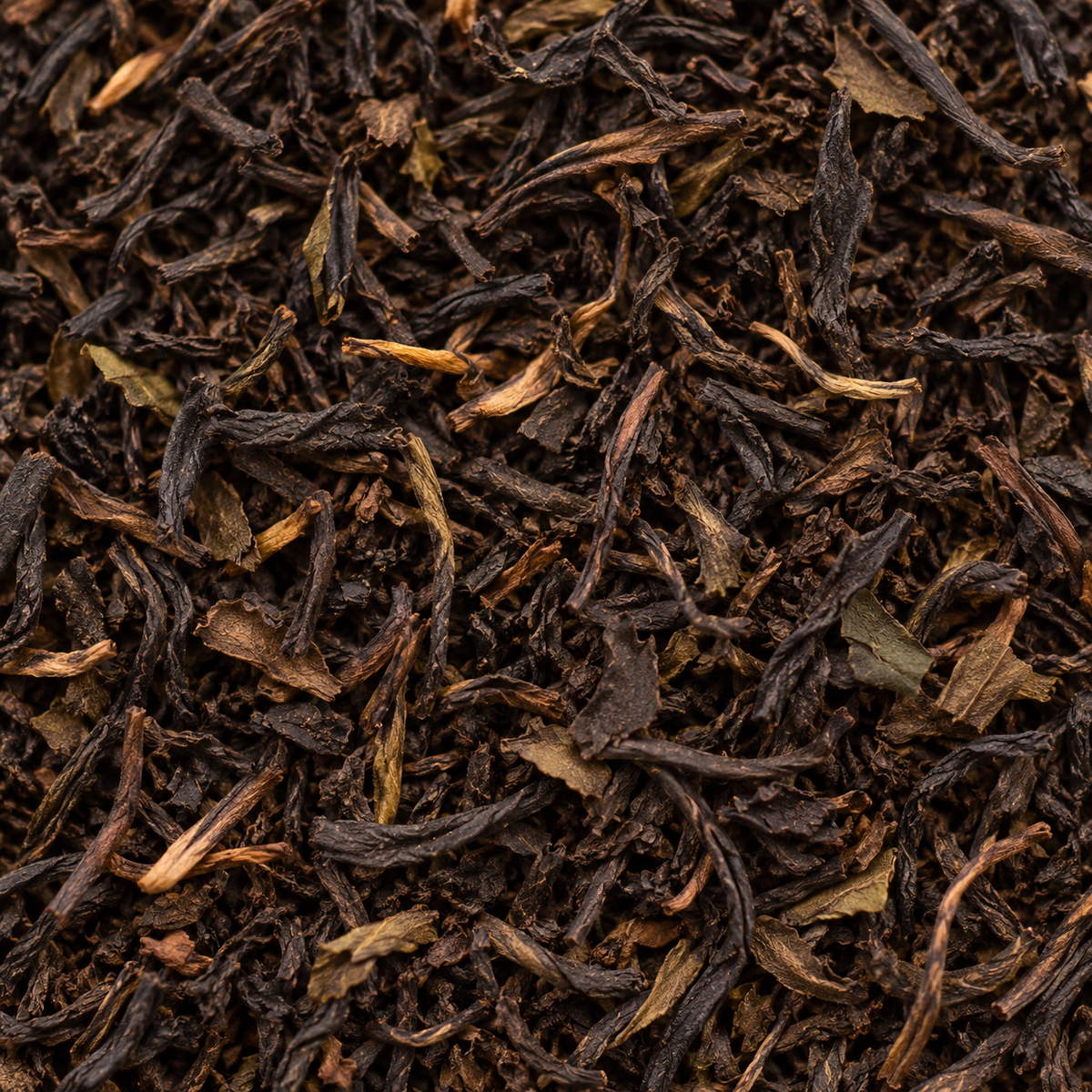 Hampstead Tea Organic Darjeeling Tea