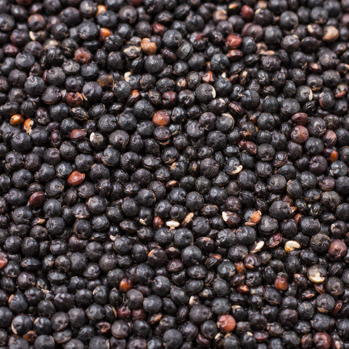 Infinity Foods Bulk Organic Black Quinoa Grain