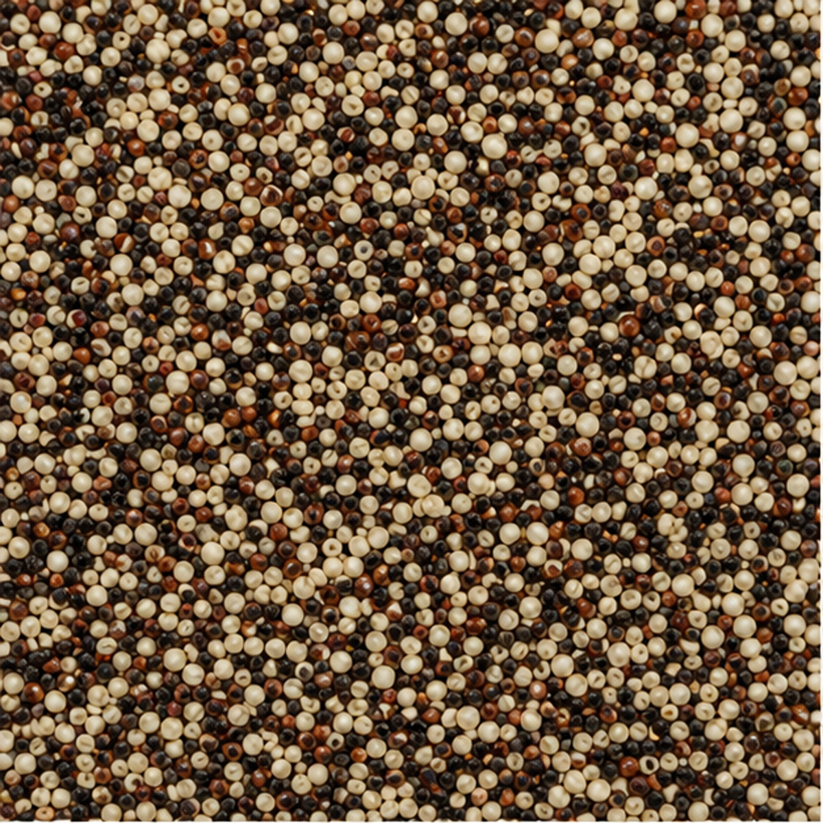 Infinity Foods Bulk Organic Tri-Colour Quinoa