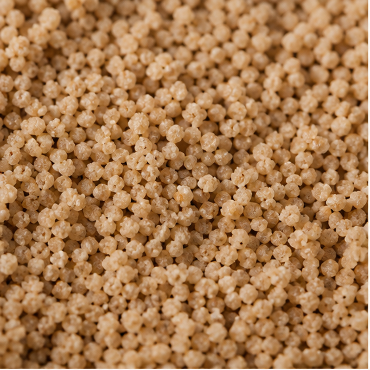 Infinity Foods Bulk Organic Wholemeal Cous Cous