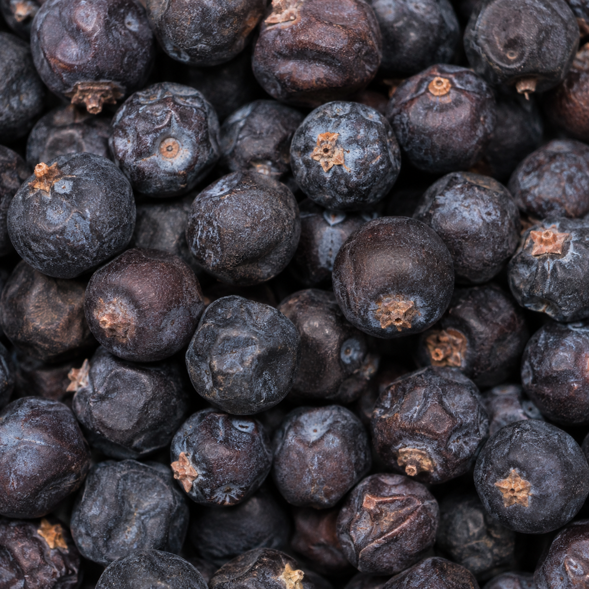 Infinity Foods Organic Juniper Berries