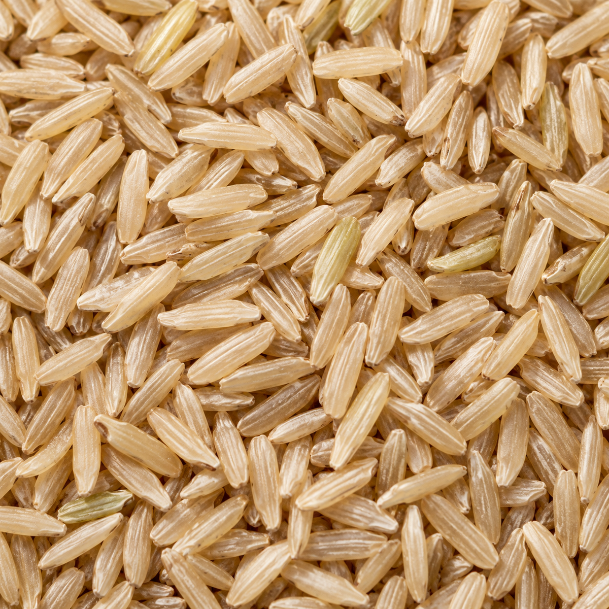 Infinity Foods Organic Brown Jasmine Rice