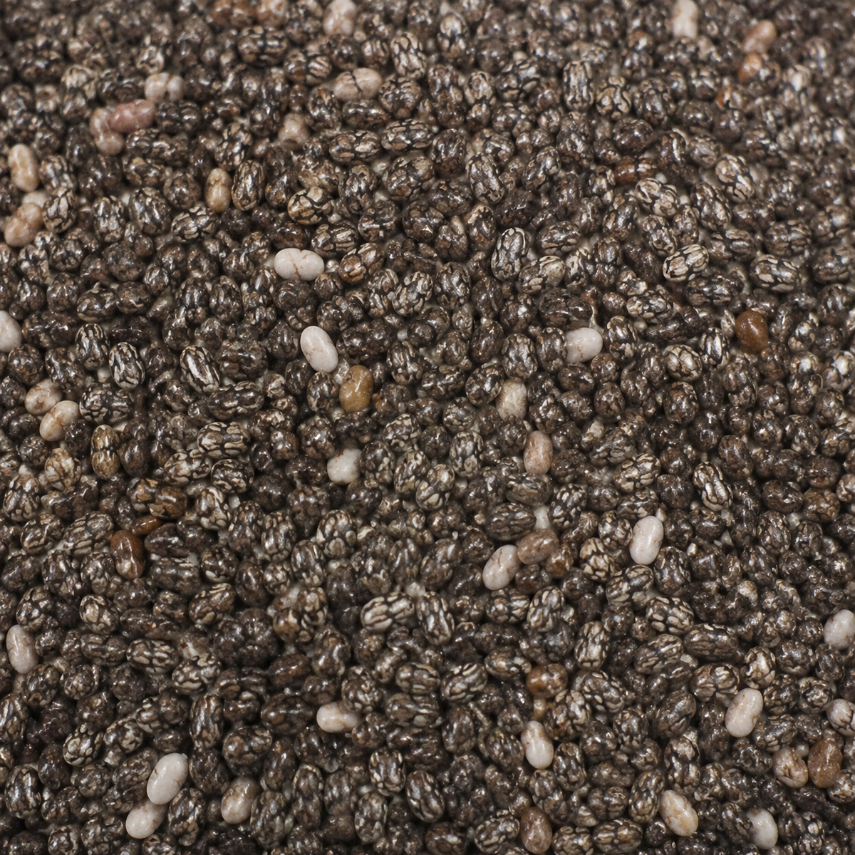 Infinity Foods Organic Chia Seeds