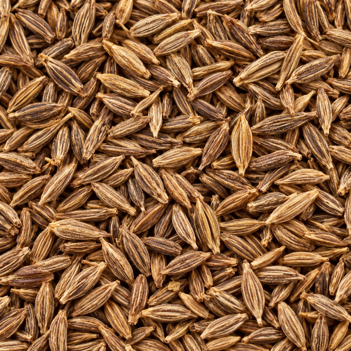Infinity Foods Organic Cumin Seed (Jeera)