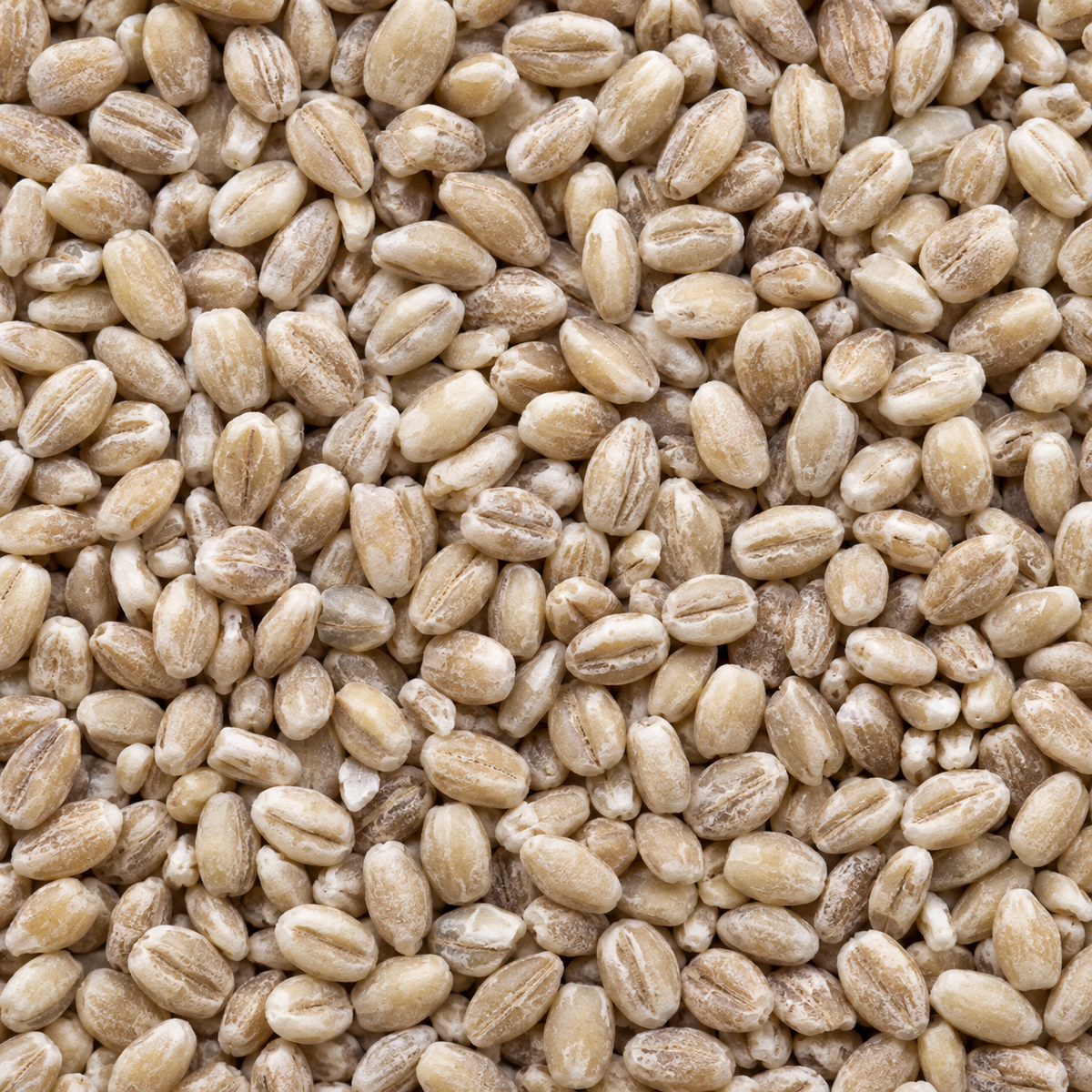 Infinity Foods Organic Pearl Barley