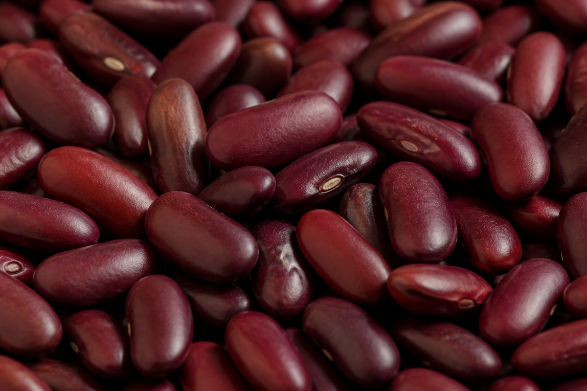 Infinity Foods Organic Red Kidney Bean