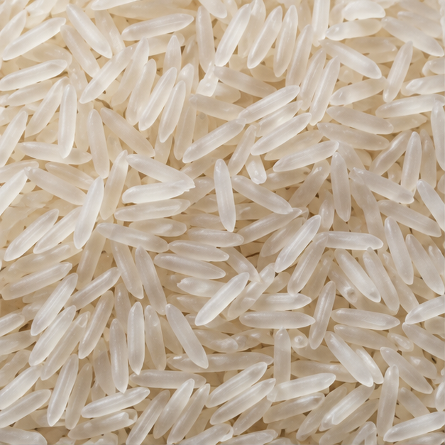 Organic Jasmine Rice