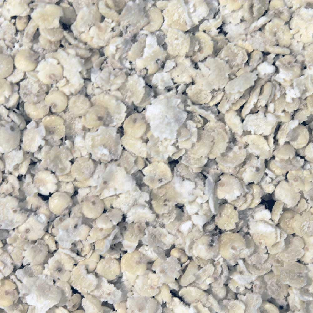 Infinity Foods Bulk Organic Millet Flakes