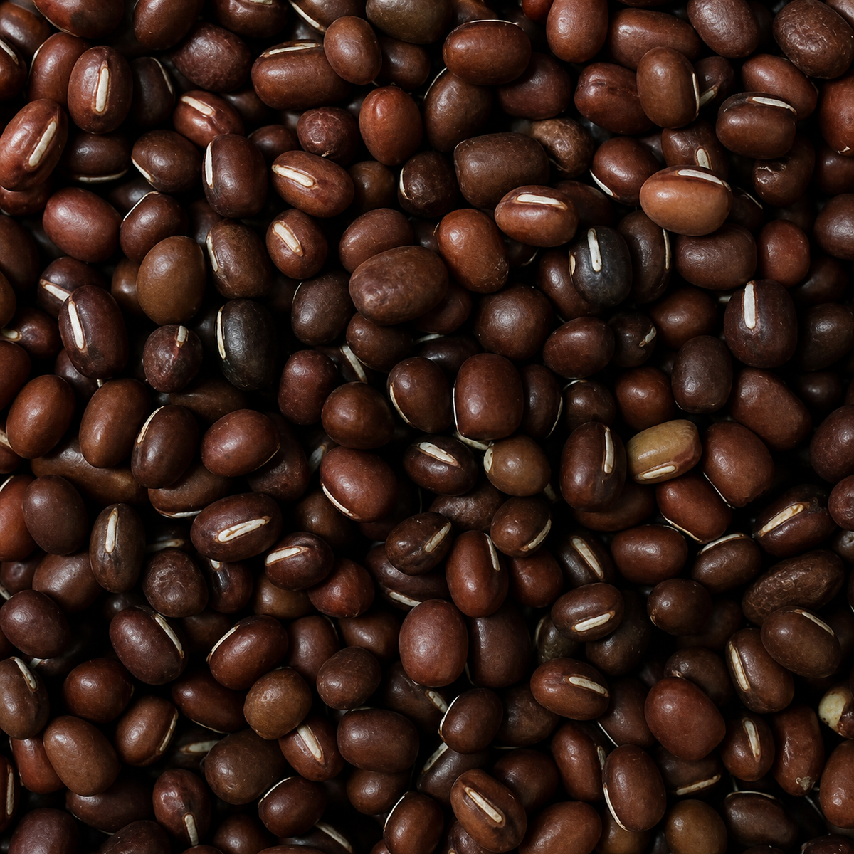 Organic Aduki Beans