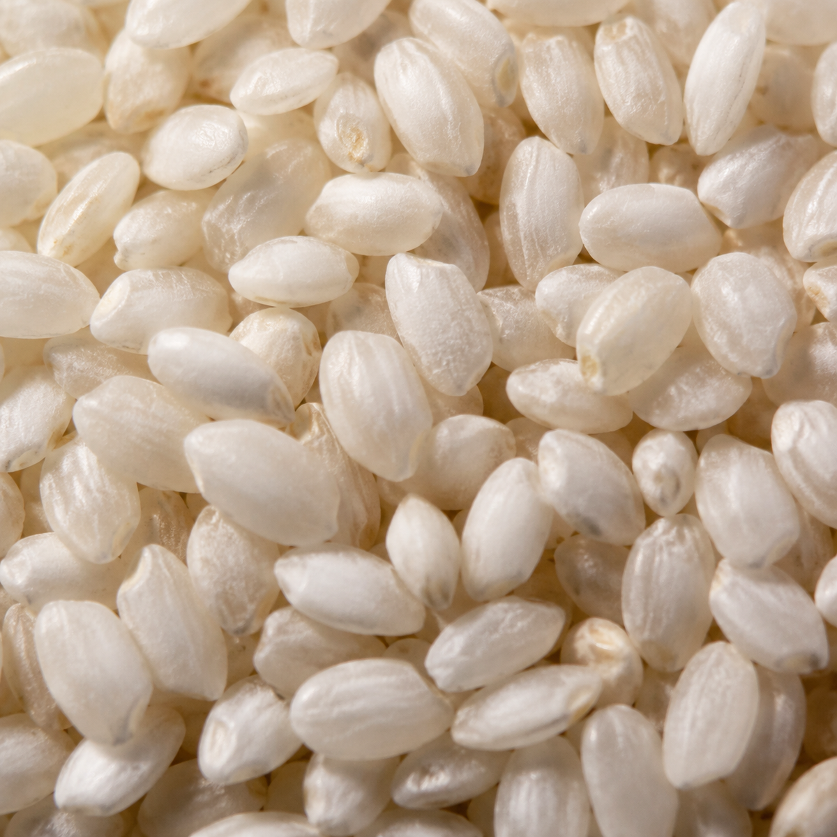 Organic Arborio Rice