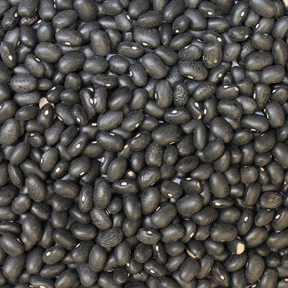 Organic Black Turtle Beans