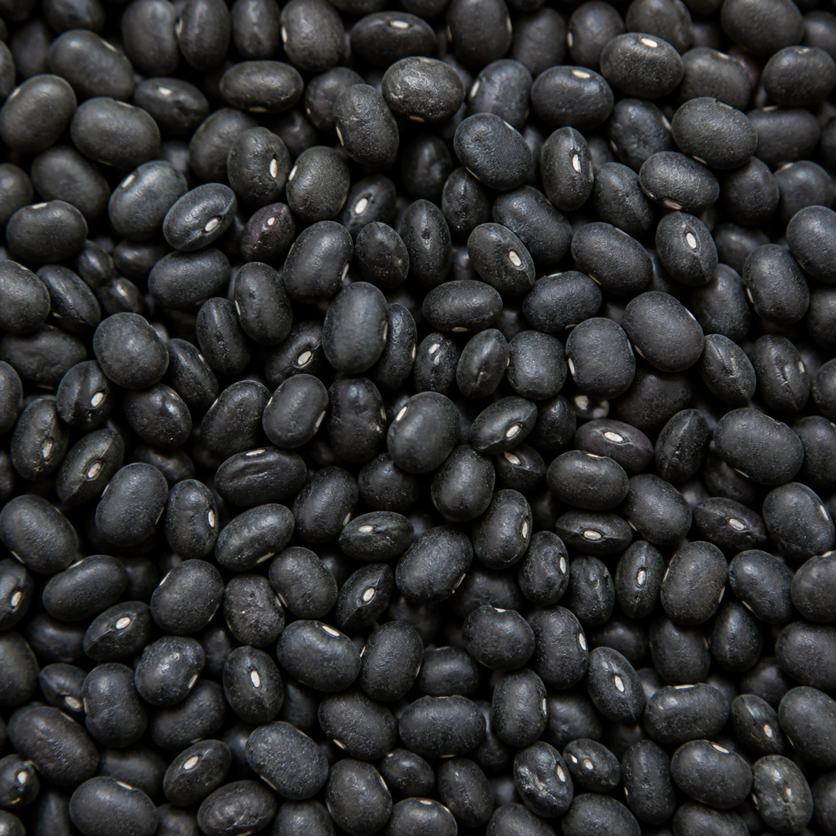 Infinity Foods Bulk Organic Black Turtle Beans
