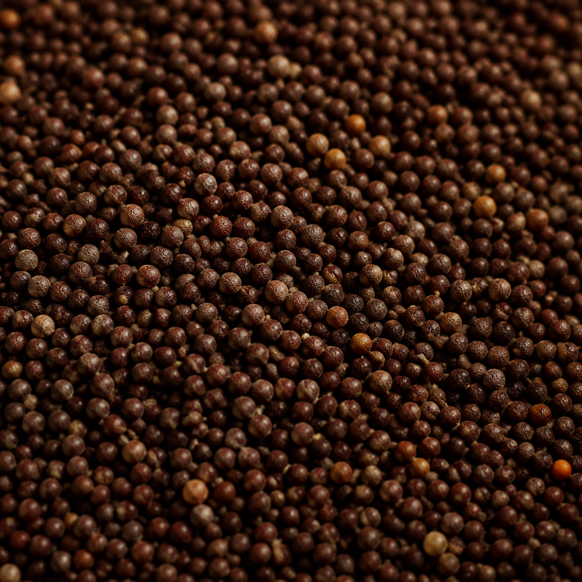 Organic Brown Mustard Seeds