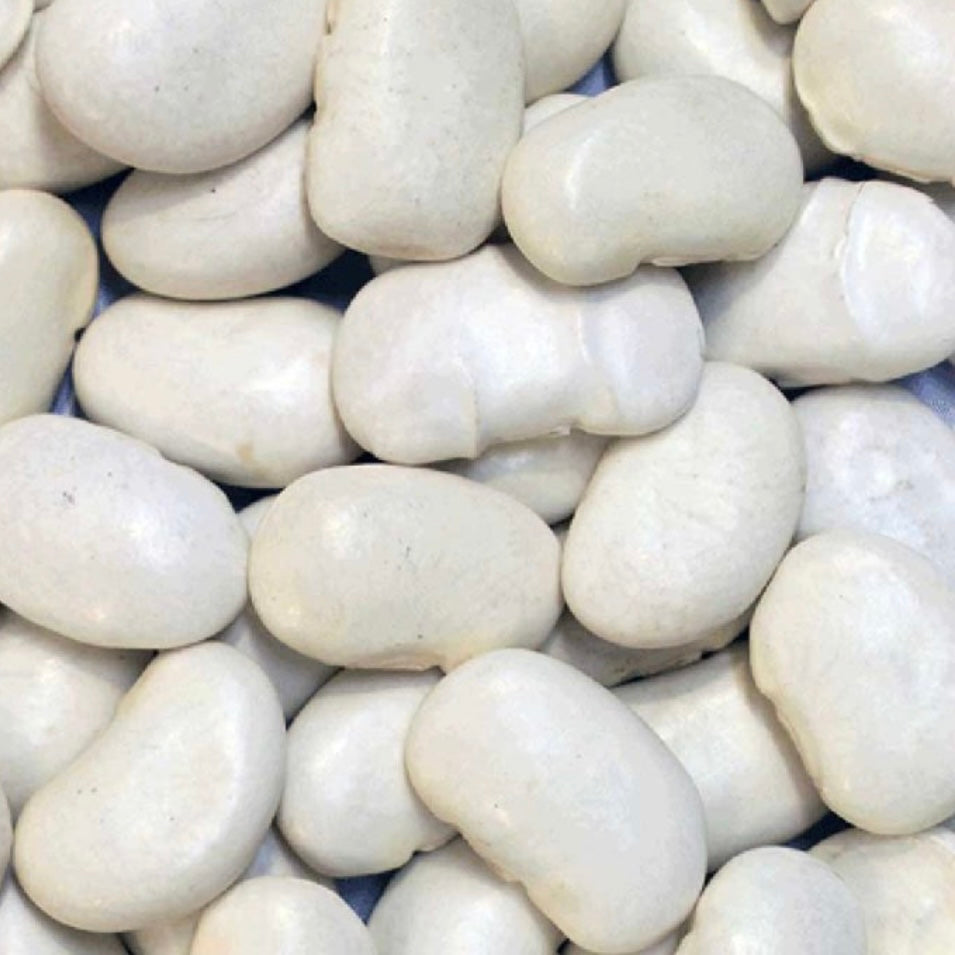 Organic Butter Beans