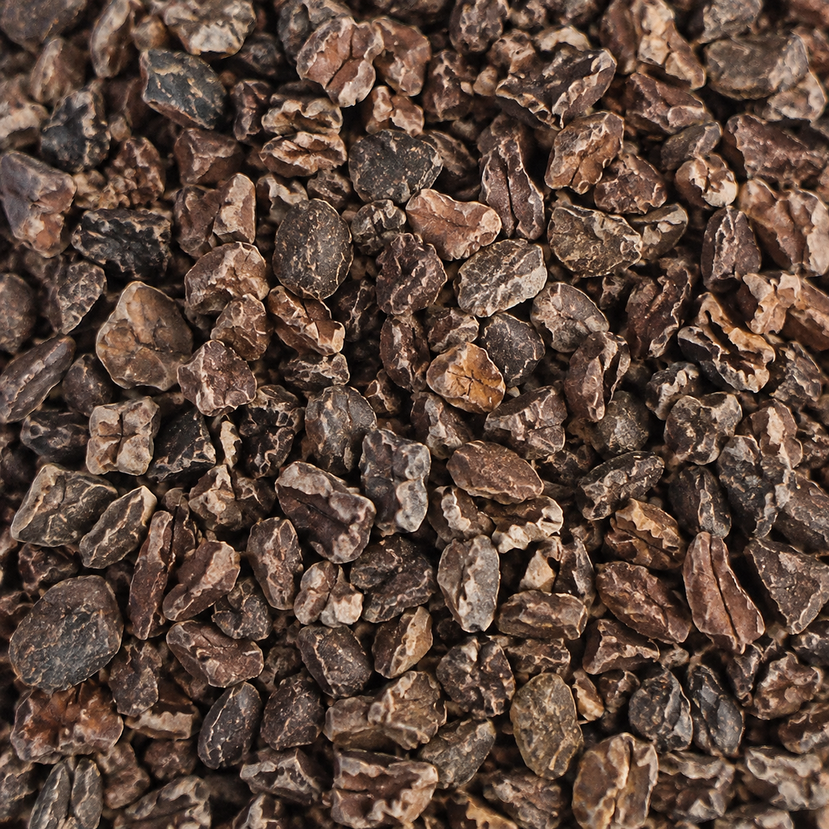 Organic Cacao Nibs