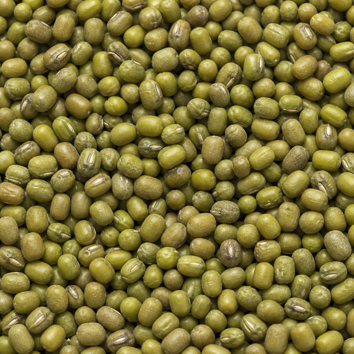 Infinity Foods Bulk Organic Mung Bean