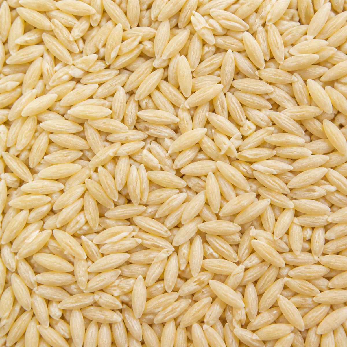 Infinity Foods Bulk Organic Orzo