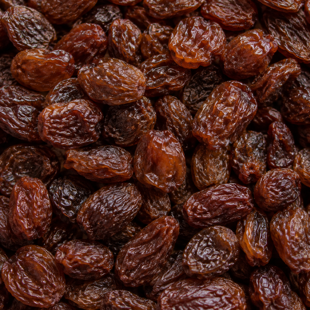 Organic Raisins