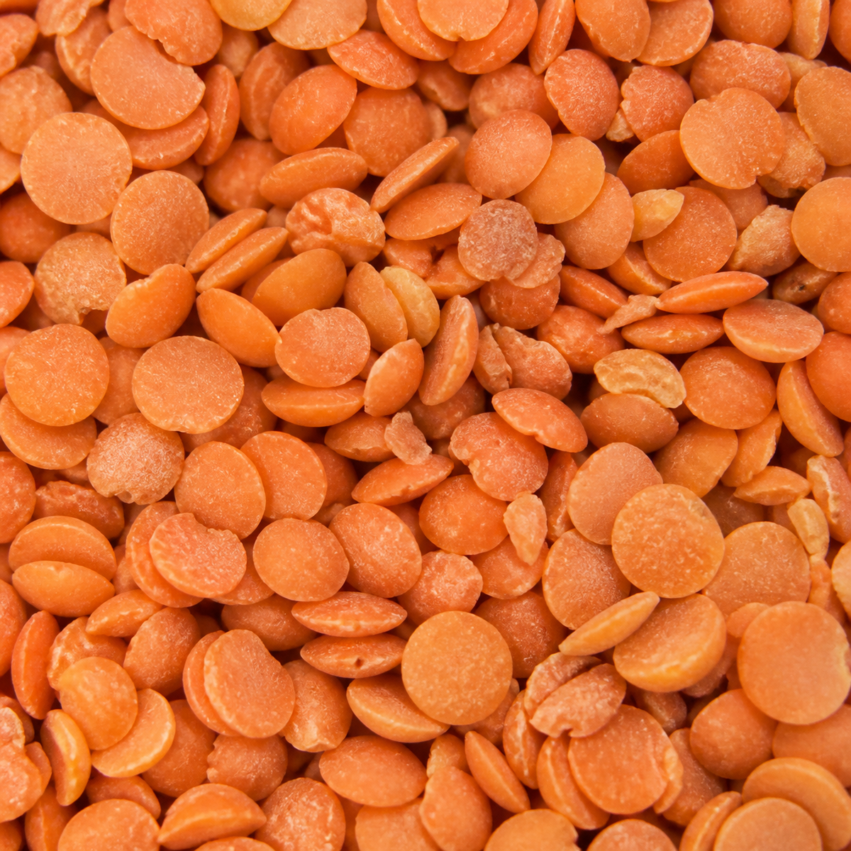Infinity Foods Bulk Organic Red Split Lentils