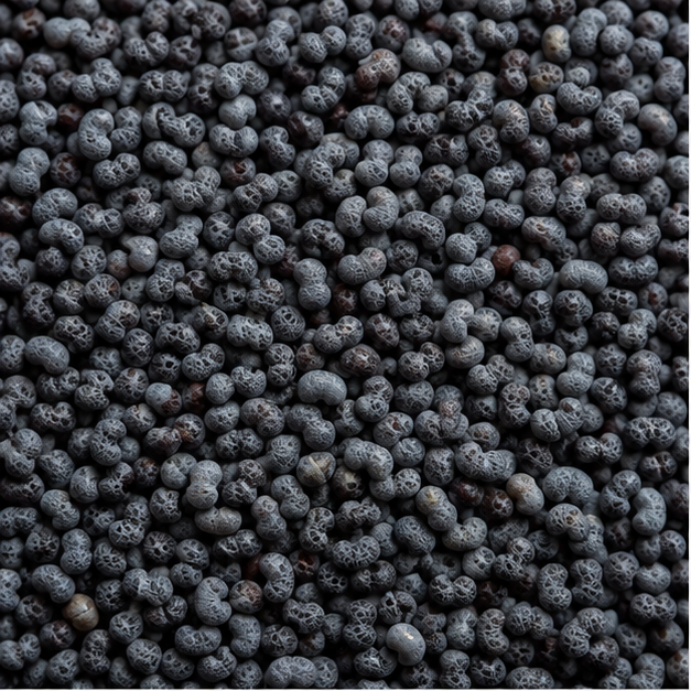 Infinity Foods Organic Poppy Seeds