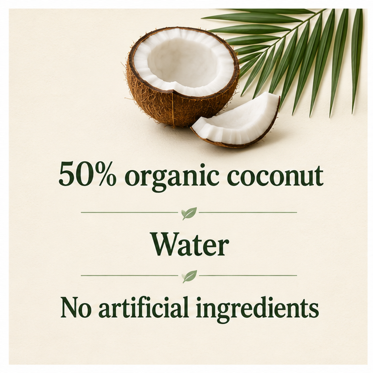 Biona Organic Coconut Milk