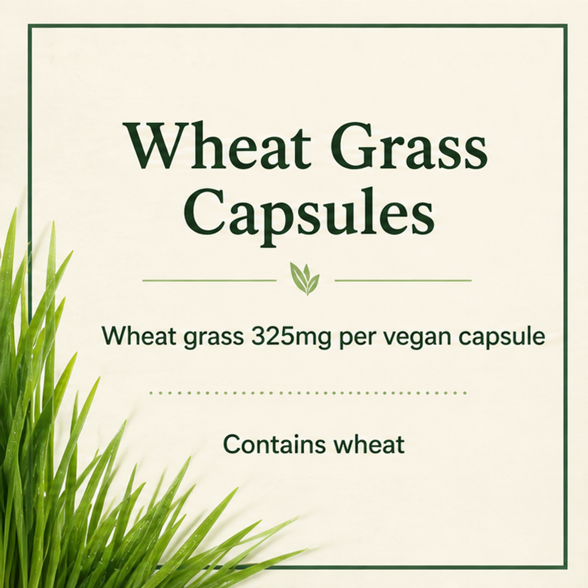 SHS Wheat Grass Range