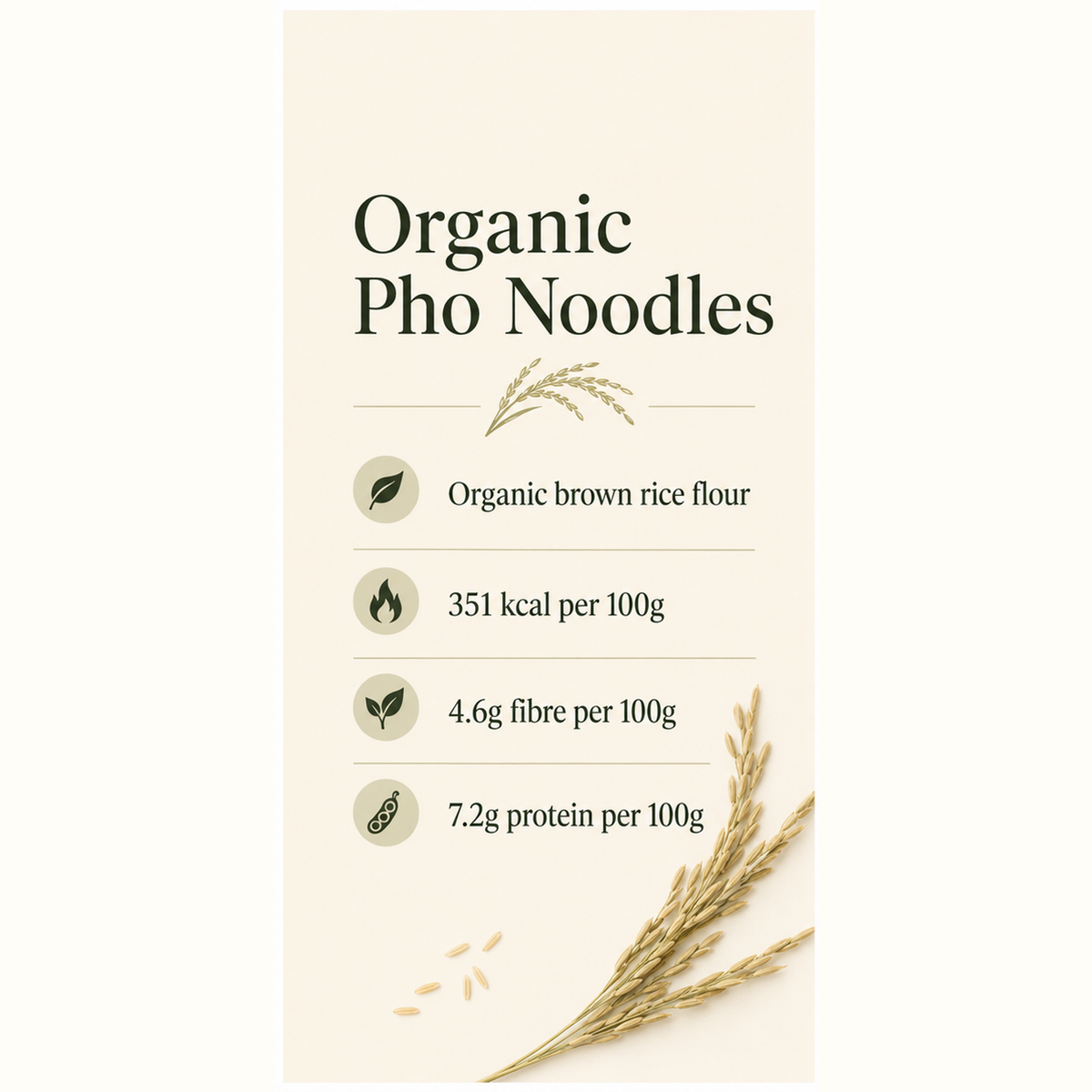 King Soba Organic Pho Noodles
