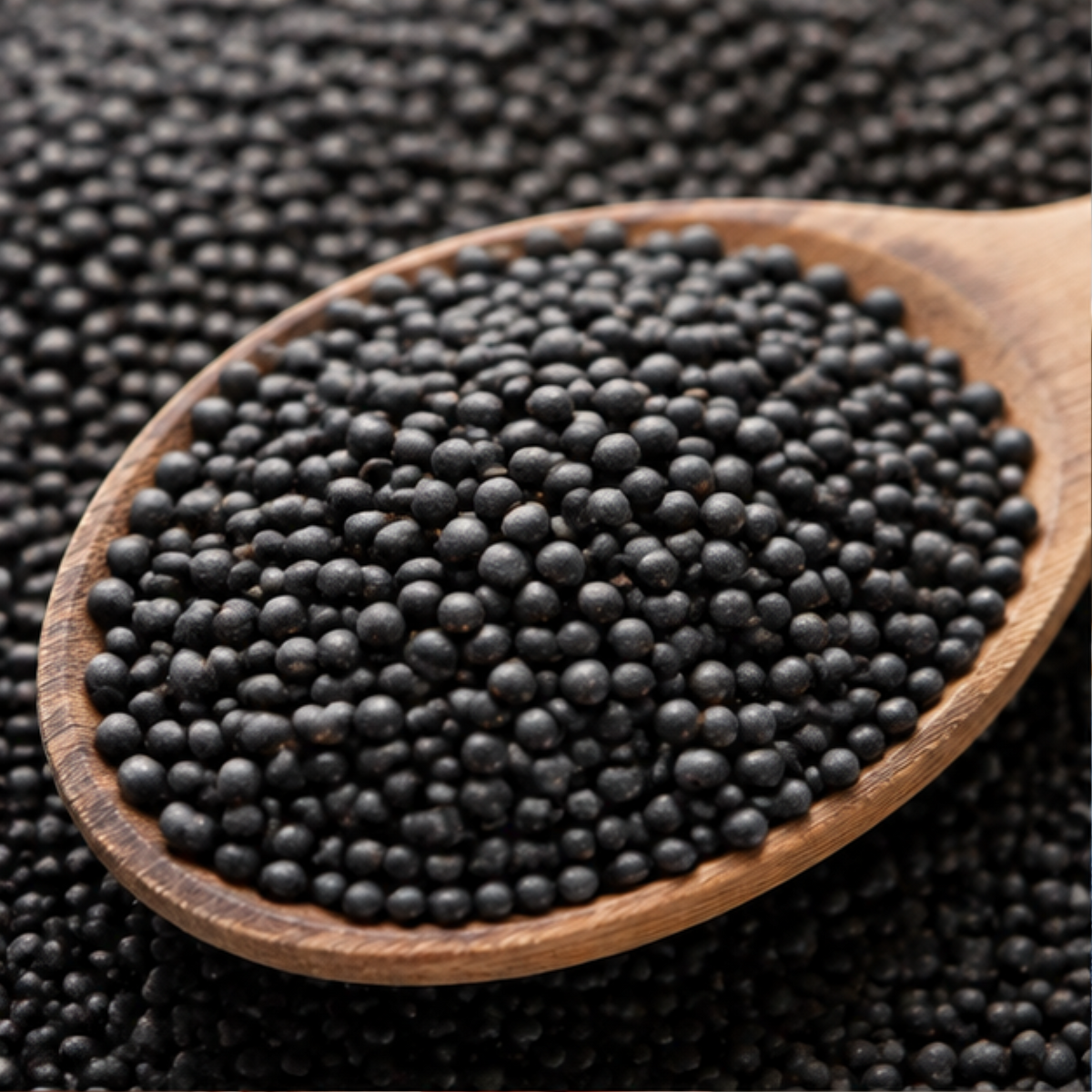 Infinity Foods Bulk Organic Whole Beluga Lentils