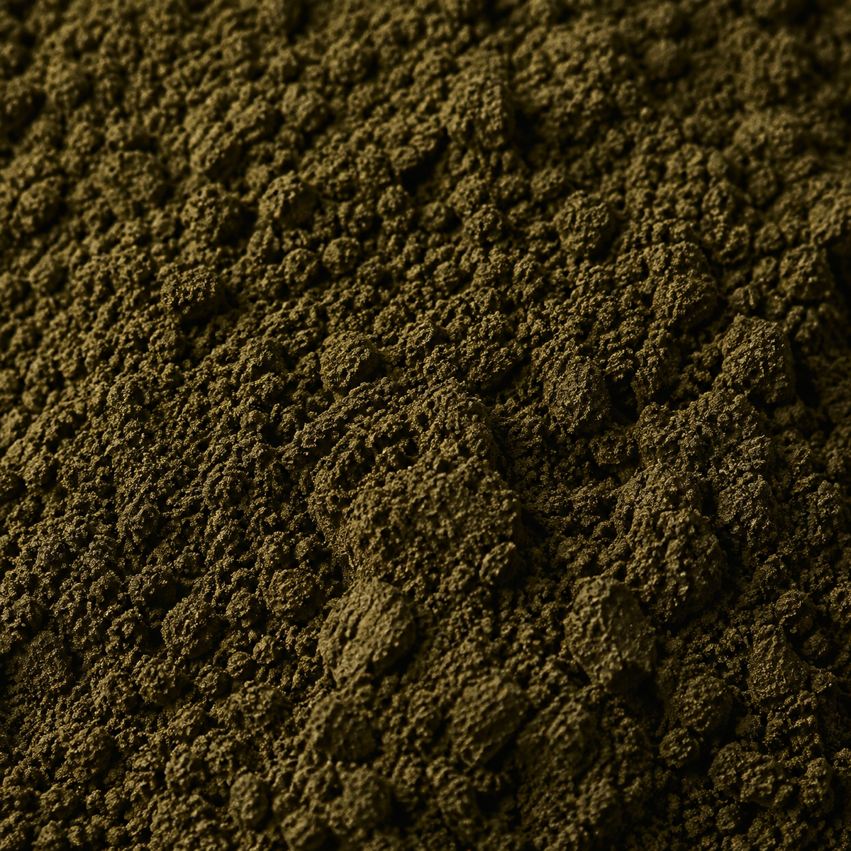 Kelp Powder Organic