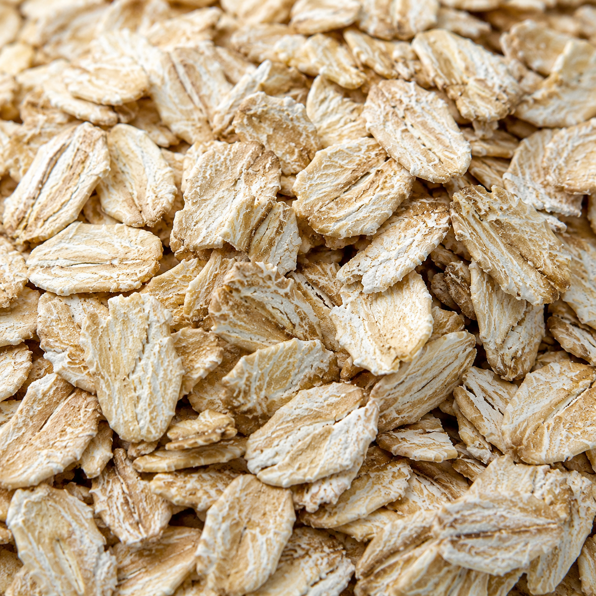 Infinity Foods Bulk Organic Barley Flakes