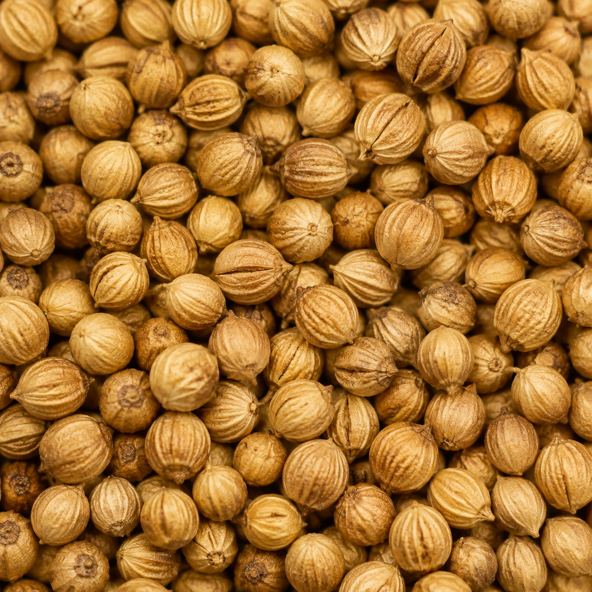 Infinity Foods Organic Coriander Seed (Dhania)